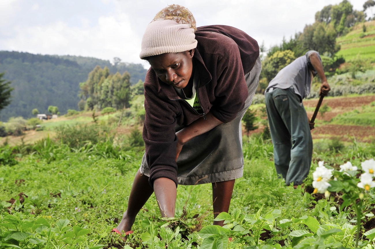
          Appel à projets 2020: Promotion de l’agriculture familiale en Afrique de l’Ouest – PAFAO (DATE DE LANCEMENT : 15 NOVEMBRE 2019 | DATE DE CLÔTURE : 24 FÉVRIER 2020)