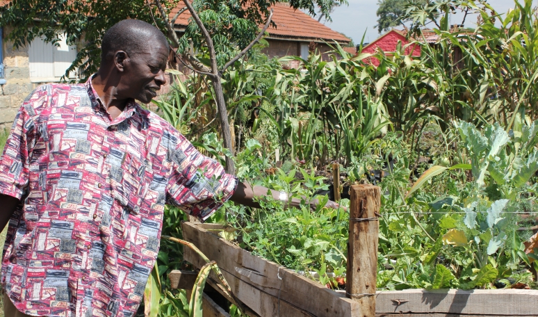 
          L'agriculture urbaine en Afrique ; un potentiel sous-exploité