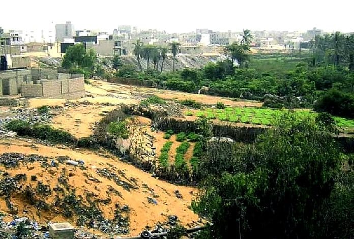 
          Quel avenir pour l'agriculture urbaine dans une Afrique en pleine urbanisation?