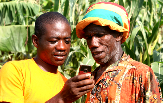 
          Le niveau d’instruction des agriculteurs en Afrique; un frein à la digitalisation agricole à surmonter