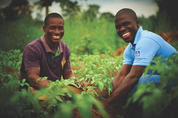 
          Formation agricole en Afrique: De nouveaux masters d'agriculture en Afrique pour changer la manière dont l’agriculture est enseignée