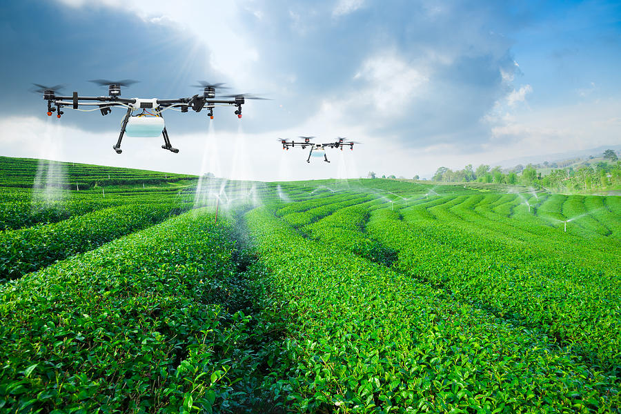 
          Comment l'intelligence artificielle (IA) transforme l'agriculture?