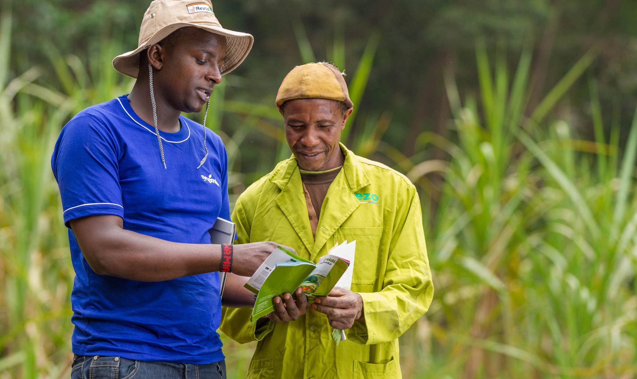 
          Le Fonds IDH Farmfit: Un fonds d’impact pour le financement des petits exploitants