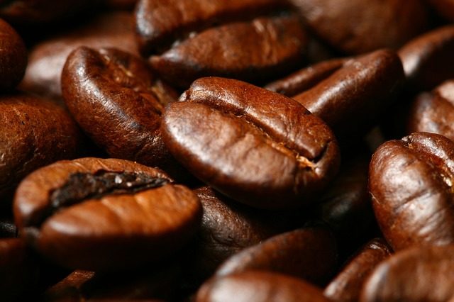 
          Café: Le nouveau directeur Afrique de l’Ouest du CIRAD veut redévelopper la coopération avec le Togo et relancer la culture du Robusta