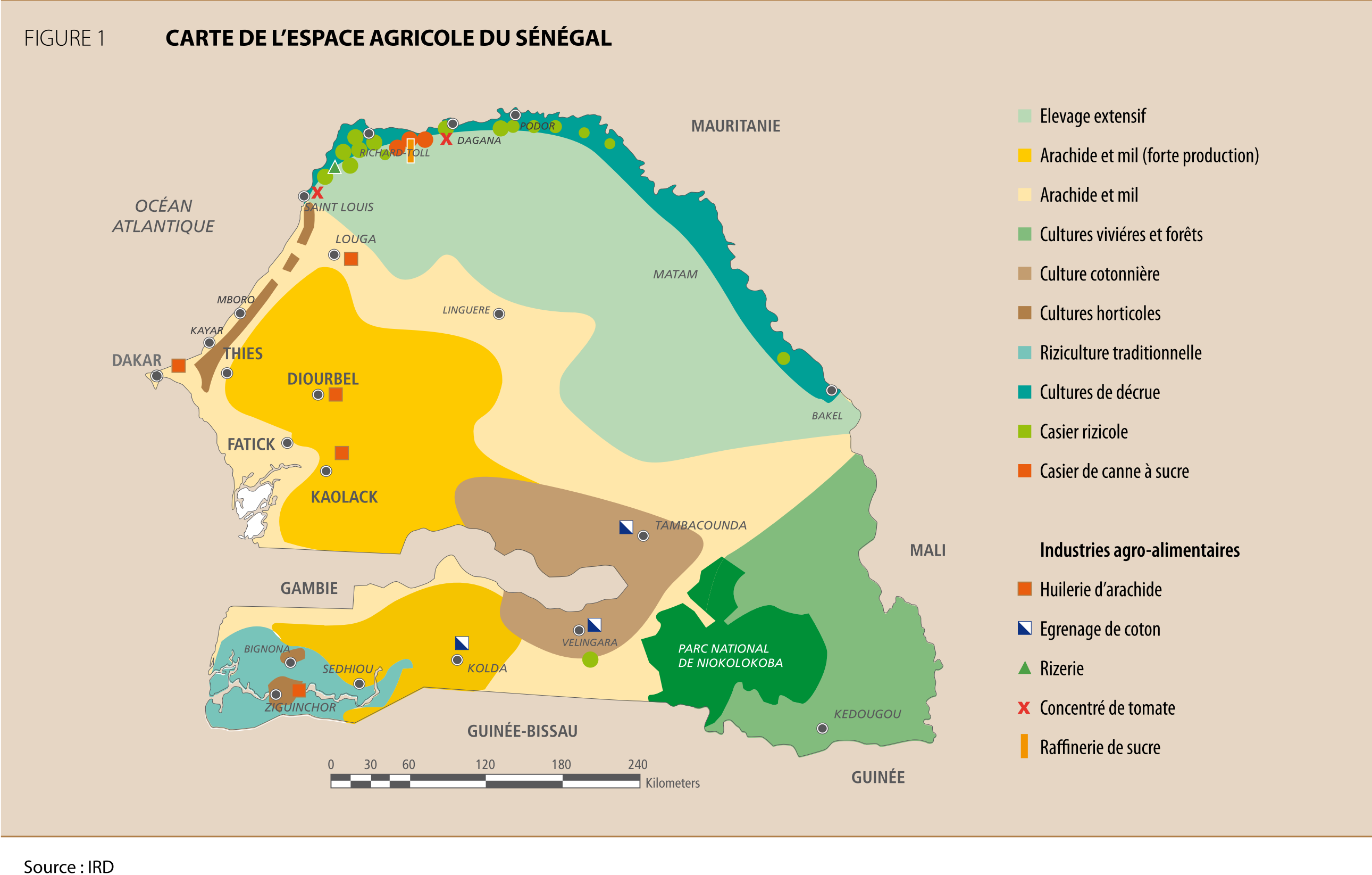 
          Agriculture et croissance ouest-africaine: Cas du Sénégal