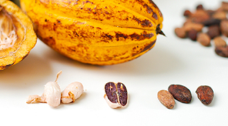 
          La Chronique des matières premières agricoles: Le cacao au 13 février 2020