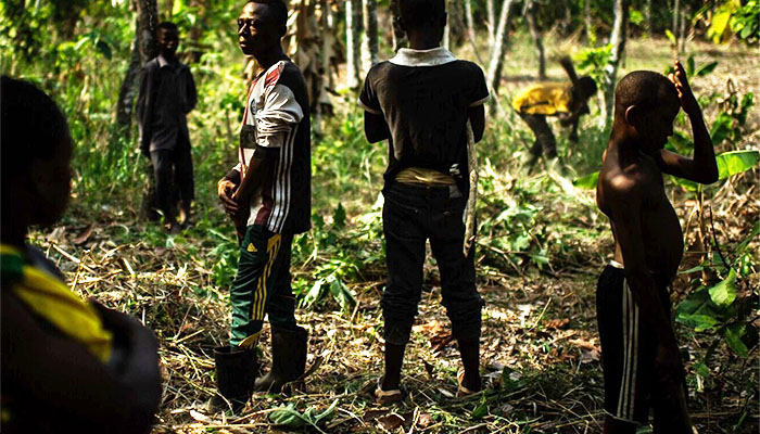 
          Cacao durable et travail des enfants: Que la charge de la preuve d'un cacao non produit par du travail forcé d'enfant repose sur l'industrie