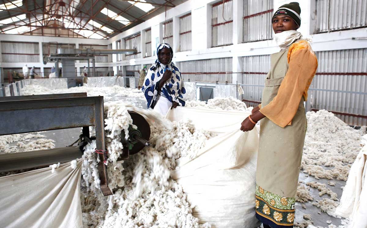 
          Le coton durable prend de plus en plus une place importante 