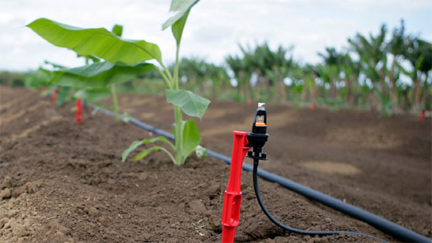 
          Mise en œuvre de l’Agropole Centre par programme de coopération sénégalo-Belgique