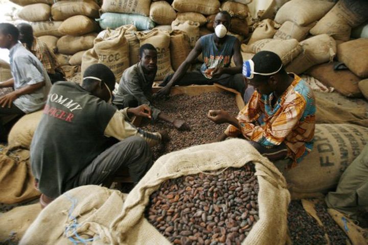 
          Le cacao en Côte d’Ivoire: La  Météo peu propice et  politique de rétention menée par certains producteurs; quelles conséquences sur la filière?