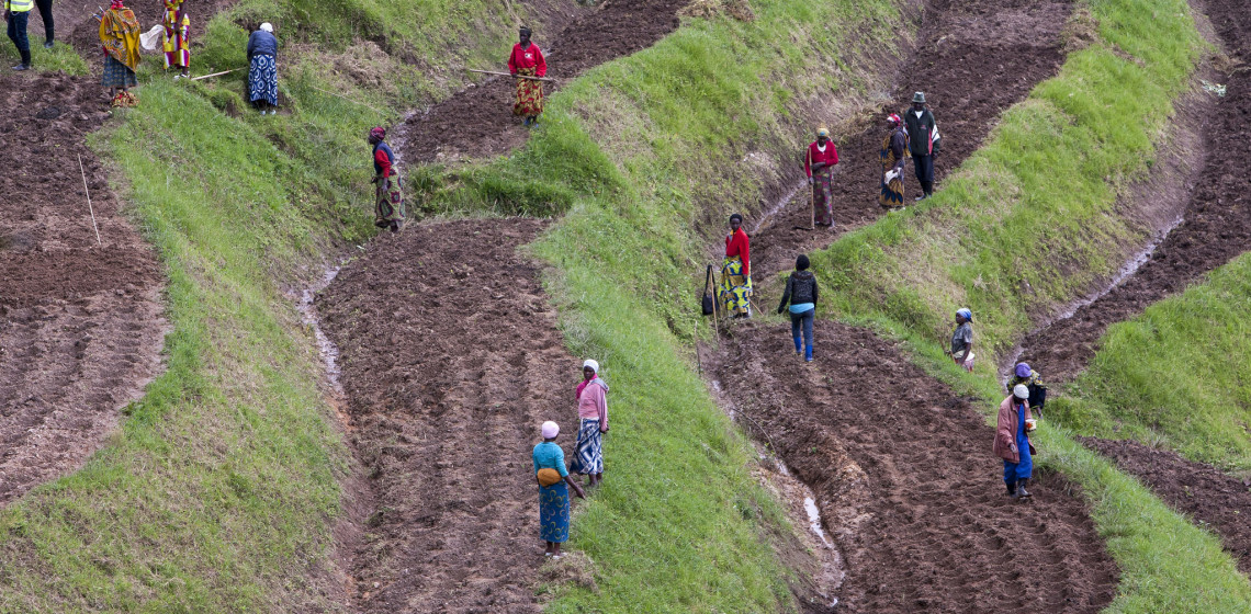 
          Le secteur agricole au Nigeria a progressé de 2,31% au quatrième trimestre 2019