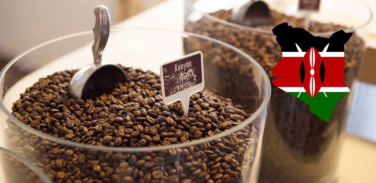 
          Financement caféiculture au Kenya: Une enveloppe du Trésor national kenyan au KPCU pour soutenir la filière  