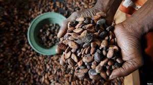 
          La demande en cacao: Le DRD peut faire chuter la demande en cacao 