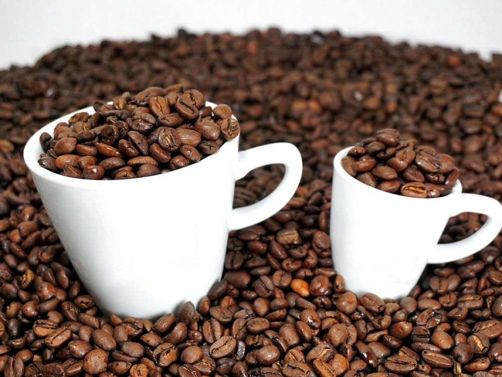 
          D’octobre à janvier, les exportations de café d’Afrique ont augmenté de 10%