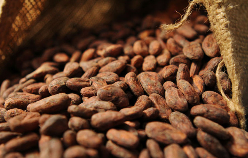 
          Technologie: La blockchain pour une meilleure traçabilité du cacao