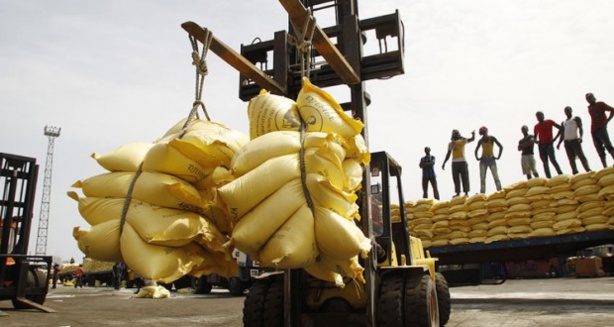 
          Les importations de riz de l'Afrique sub-sahariennes en 2019/20 revues à la baisse