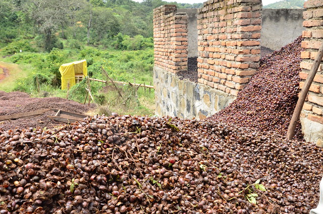 
          Projet AGROVALOR: Pour la valorisation énergétique des déchets agroindustriels en Côte d'Ivoire