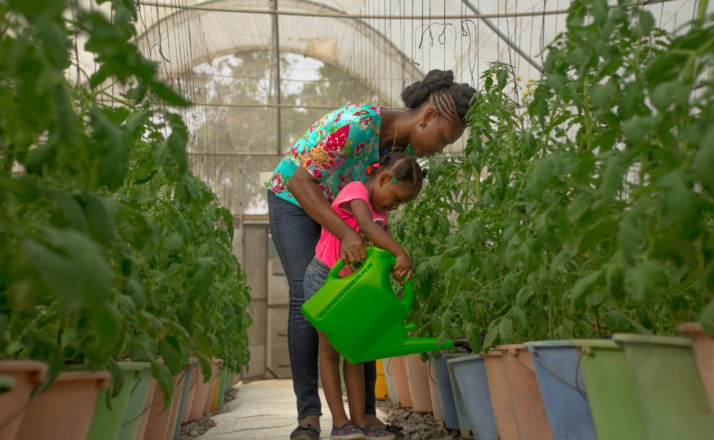
          Technologie et agriculture sous serre: Quatre jeunes au Ghana transforment l’agriculture en utilisant des solutions innovantes