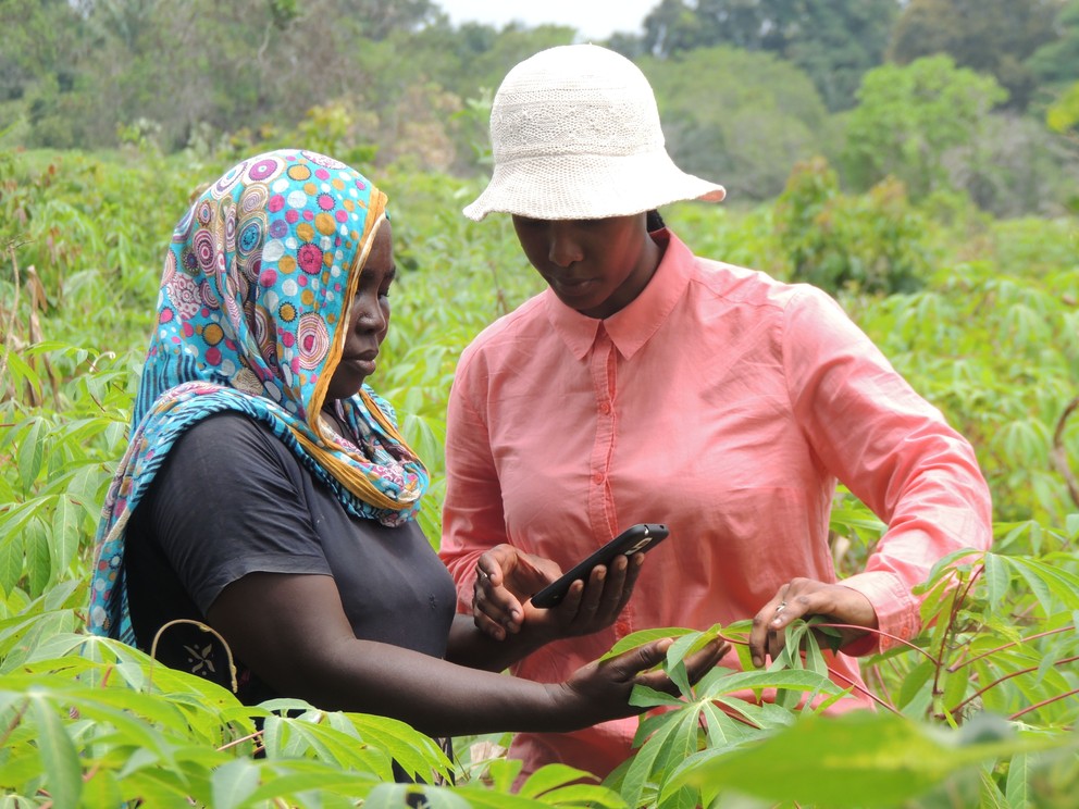 
          Plateforme innovante: Farmerline au Ghana connecte les petits exploitants agricoles aux informations, services et marchés agricoles
