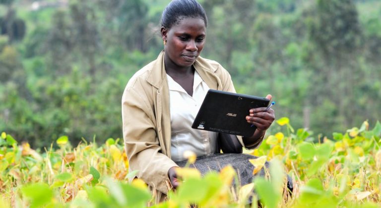 
          Femme et agriculture: L’avenir des femmes dans l’agrotechnologie, l’exemple de la plateforme VALUE4HERConnect