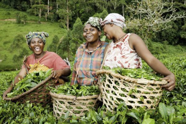 
          Femme et agriculture: Offrir des perspectives aux femmes dans le secteur de l’agriculture avec le numérique 