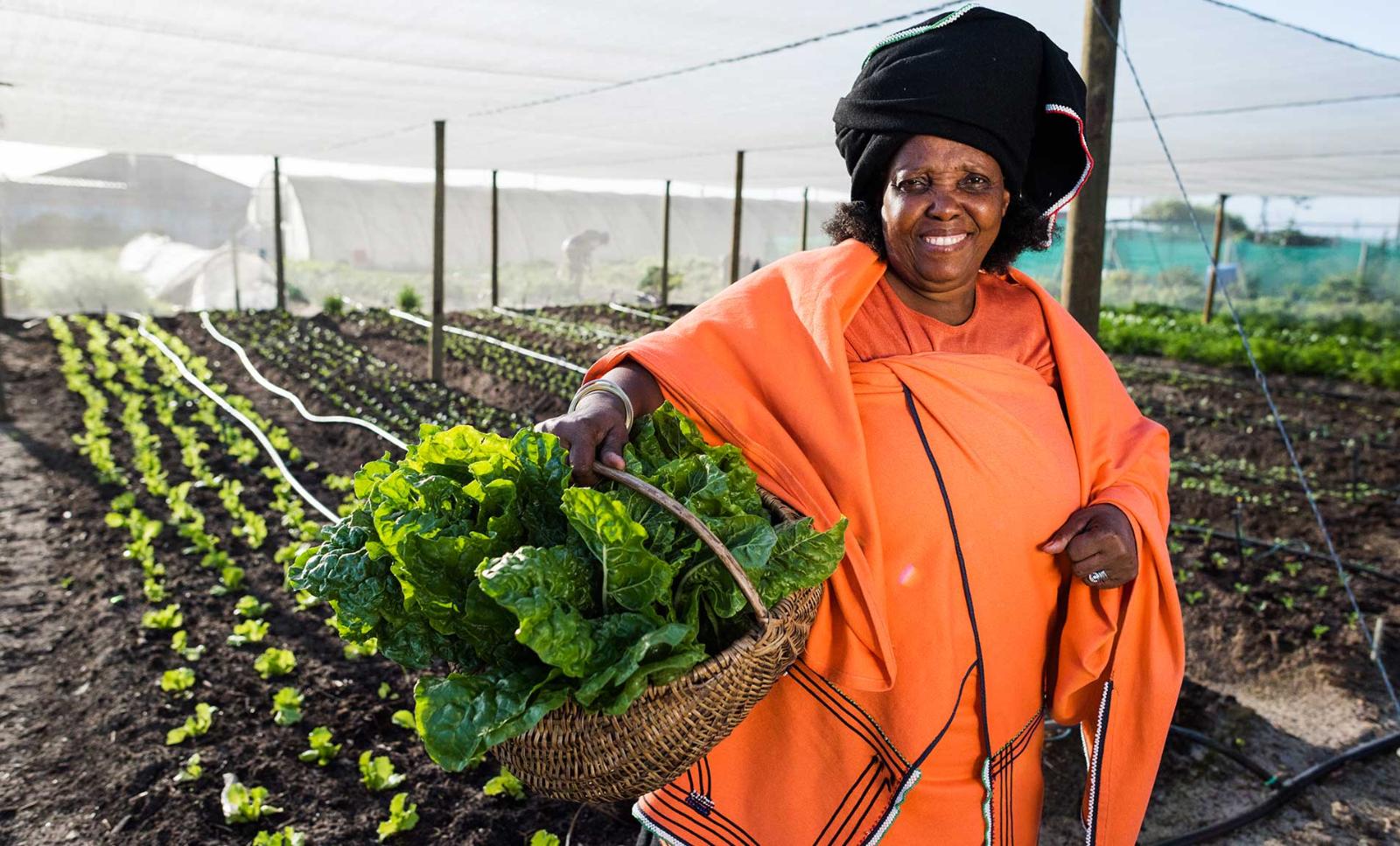 
          Financement agricole: Le numérique un moyen pour les agricultrices et agripreneuses d'accéder au Financement