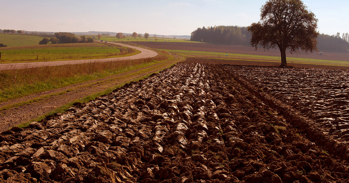 
          Recherche agricole: Quel est l’état de la recherche agricole au Nigéria ? 