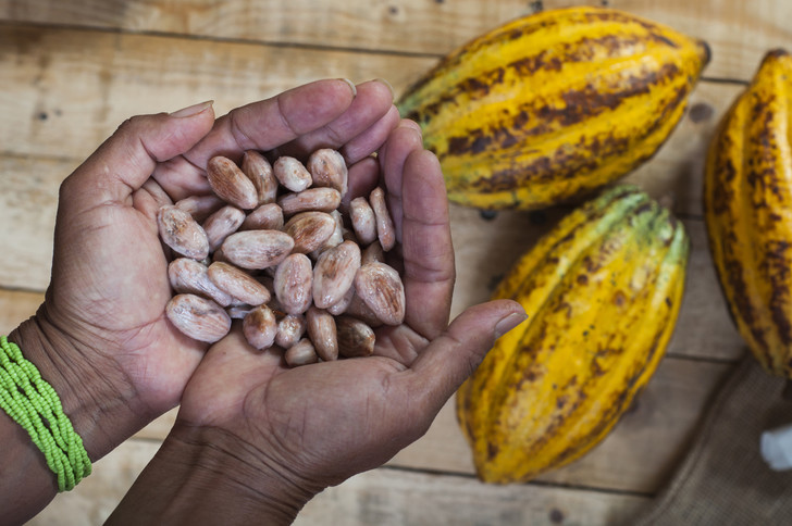 
          La Chronique des Matières Premières Agricoles: Le cacao au 2 avril 2020