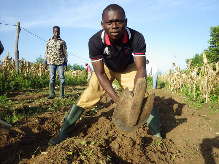 
          Crise sanitaire et autres fléaux naturelles: L’état de l’impact sur le secteur agricole dans quelques pays d’Afrique 