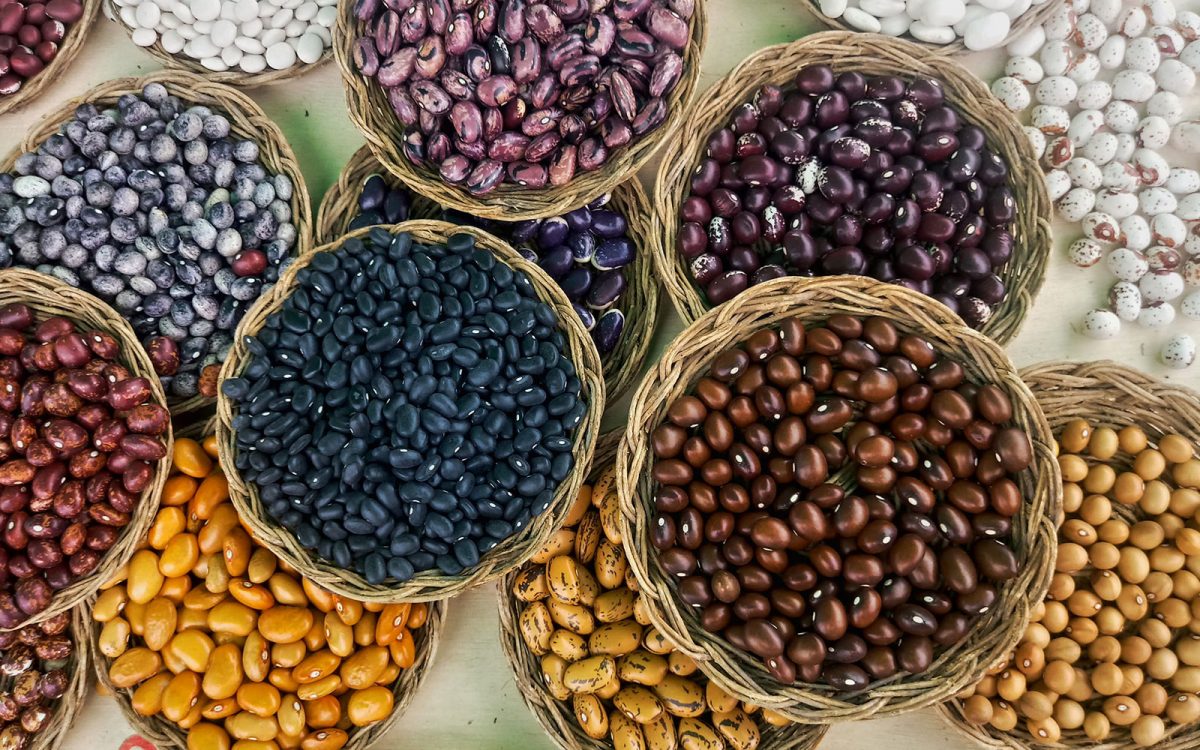 
          Projet APSAN-Mali: Des producteurs bénéficieront de semences améliorées au Mali