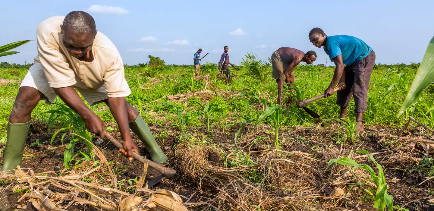 
          « Mécanisme COVID-19 de relance »: Un fonds lancer par le FIDA pour soutenir les agriculteurs et communautés rurales