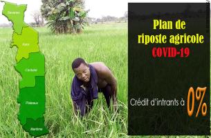 
          Au Togo le plan de riposte agricole au Covid-19 est annoncé 