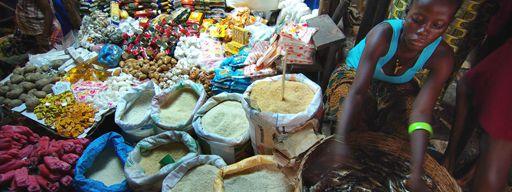 
          Au liberia, le ministère de l'Agriculture (MOA) a adopté un plan national d'urgence de sécurité alimentaire