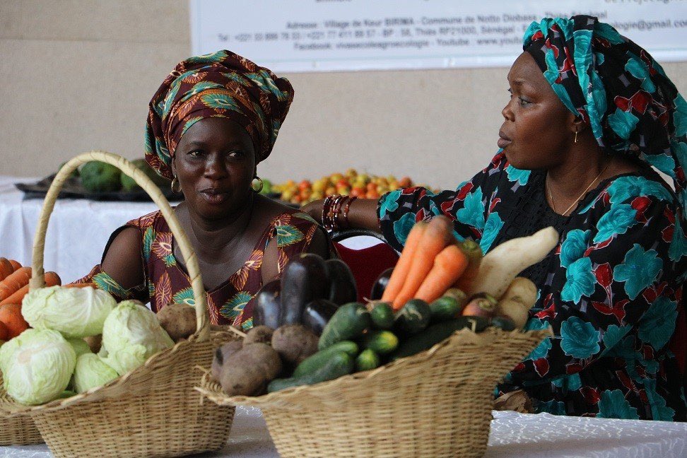 
          Au sénégal l’initiative « le panier de la ménagère » lancée pour riposter contre le Covid-19: Un pont entre les producteurs de produits agricole et locaux avec les ménages