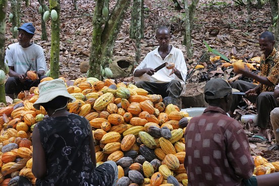 
          Les entreprises mondiales de cacao et de chocolat portent assistance aux producteurs pour riposter contre le Covid-19