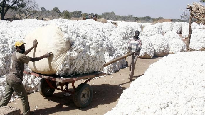 
          La Chronique des  Matières Premières Agricoles: Le coton au 4 mai 2020