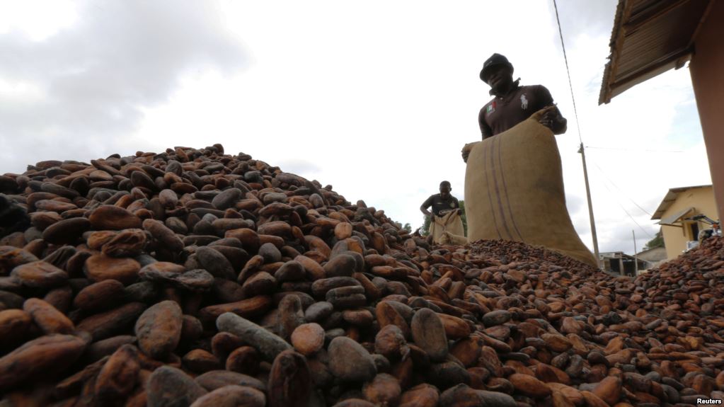 
          Le différentiel d'origine sur le cacao va peut-être changer en Côte d’Ivoire 