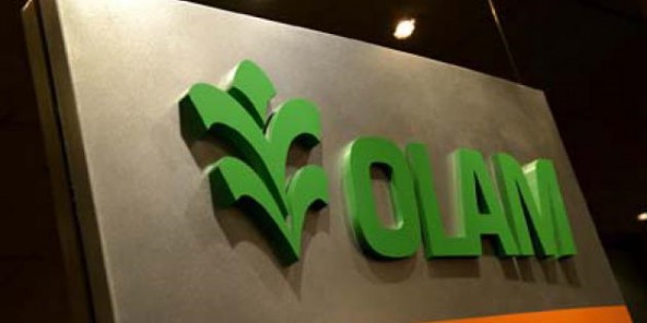 
          OLAM veut acquérir des produits agricoles auprès de petits exploitants en Ouganda 