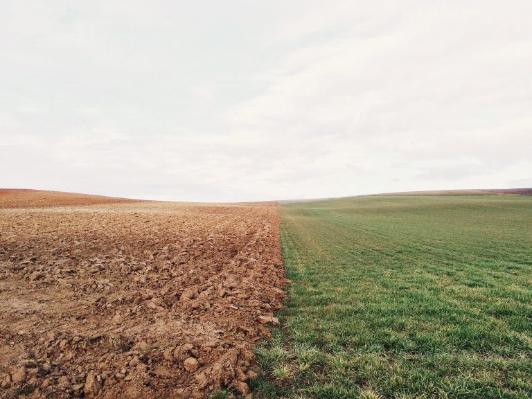 
          Diaspora et investissement agricole: Un site de 5000 hectares mis à la disposition de la diaspora malienne