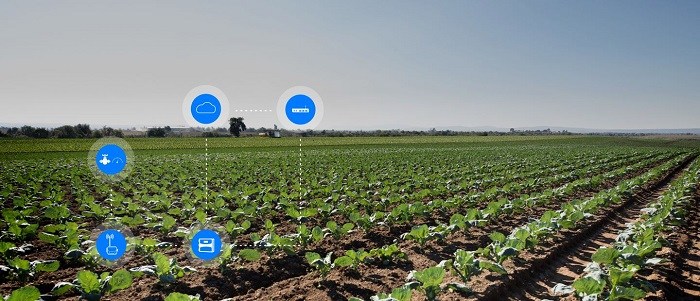 
          Subvention pour l’agriculture intelligente en Afrique de l’Est, de la part de la Climate Innovation and Investment Facility (CIIF)