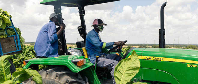 
          Un vif plaidoyer lancé  en faveur d’une plus grande prise en compte de l’agriculture en Afrique le cadre de la riposte à la Covid-19