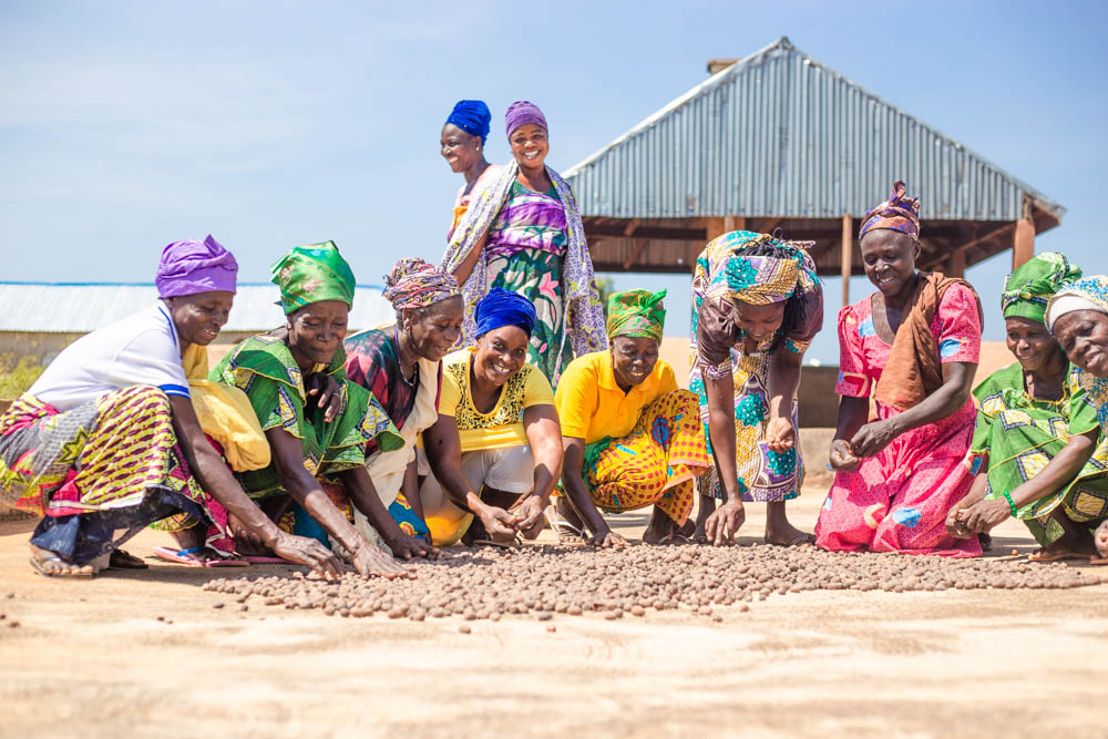 
          Exploitation de la filière karité en Afrique: Une production fortement concentrée