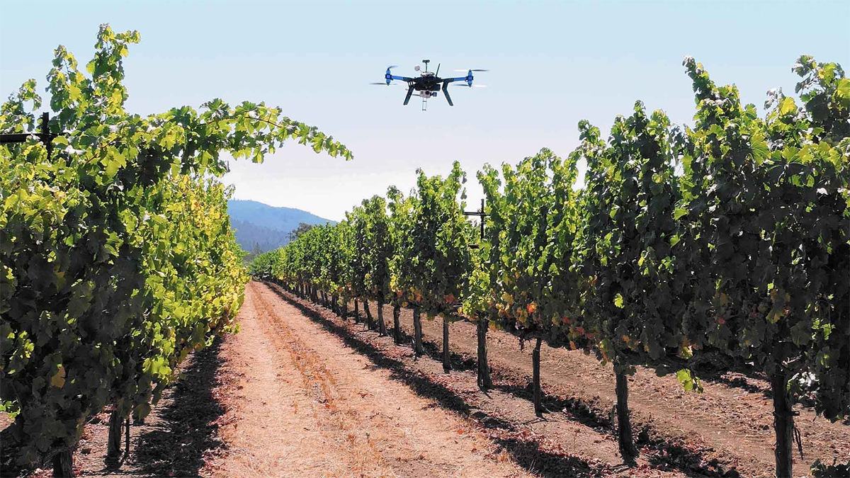 
          Investissement dans l'agrotechnologie en Afrique du sud 