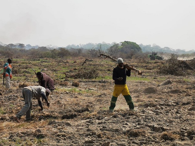 
          Financement agricole: En Côte d’ivoire, l’exécutif manifeste encore une fois son soutien au secteur agricole 