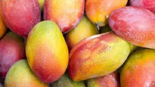 
          Quel est l’impacte de la covid-19 sur la filière mangue en Afrique de l’ouest? ( Vincent Omer-Decugis, donne son avis)