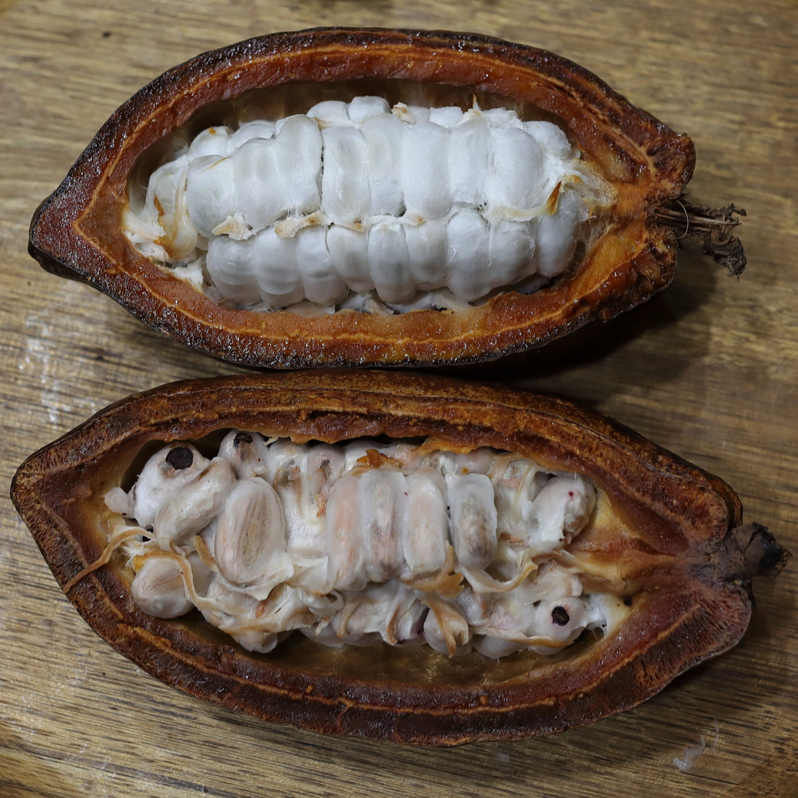 
          Chronique des matières premières agricoles: Le cacao au 28 mai 2020
