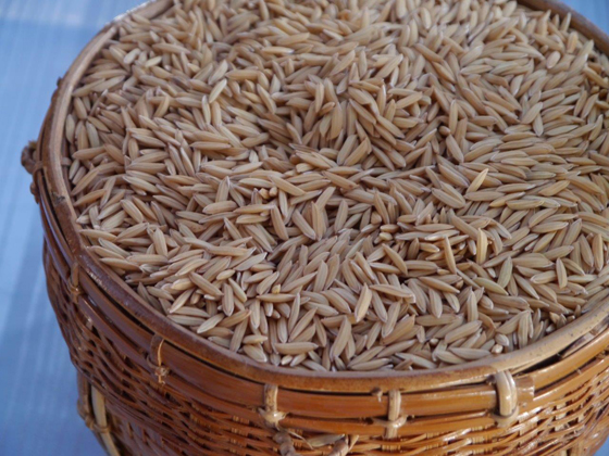 
          Chronique des matières premières agricoles: Le riz au 28 mai 2020