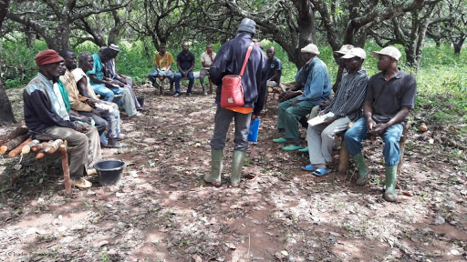 
          La vulgarisation agricole pour  l’adoption de pratiques agricoles et de technologies bénéfiques  au Nigeria