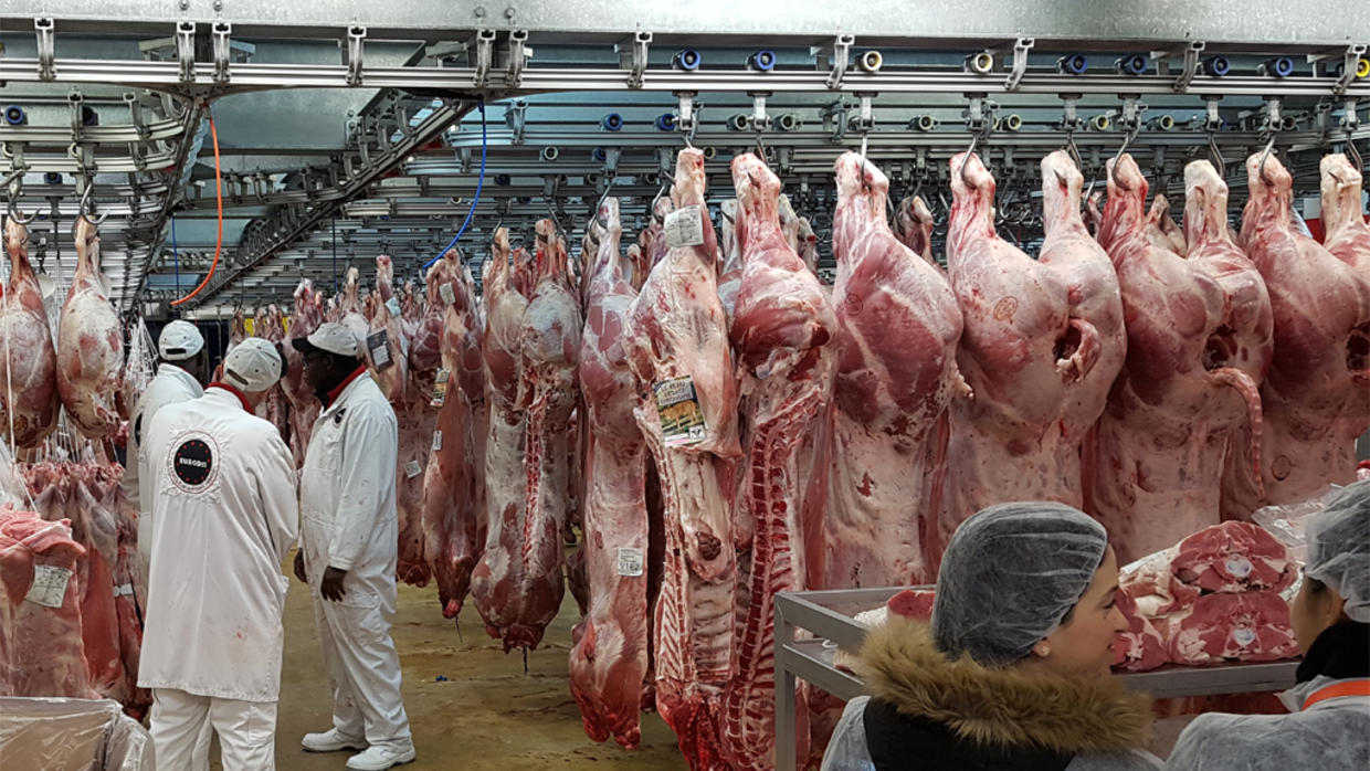 
          Elevage et pêche en Afrique: Quelle est la place de l’Afrique dans l’industrie de la viande ? 