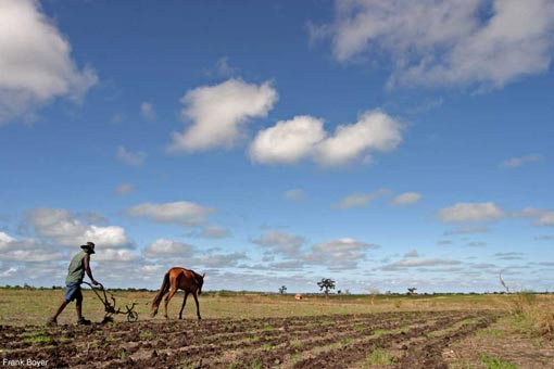 
          Au Sénégal le budget alloué pour la campagne agricole 2020/21 tonifié de 20 milliard FCFA 